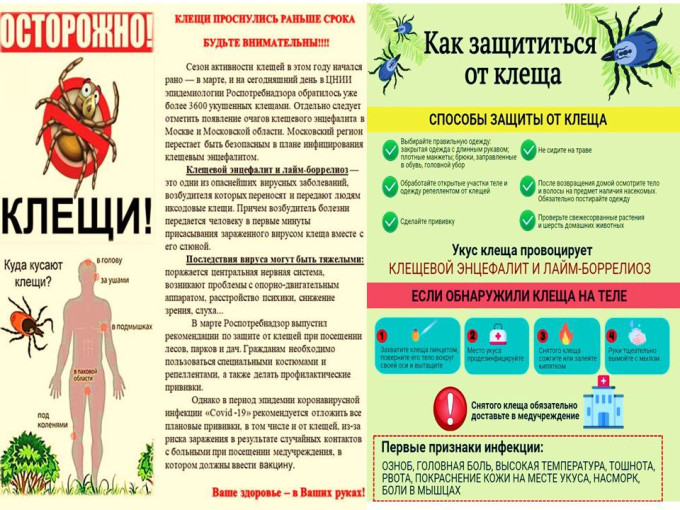 профилактика клещевого энцефалита профилактика клещевого энцефалита.